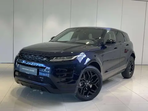 Annonce LAND ROVER RANGE ROVER EVOQUE Diesel 2024 d'occasion 