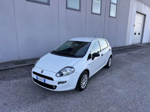 Used FIAT PUNTO Diesel 2018 Ad 