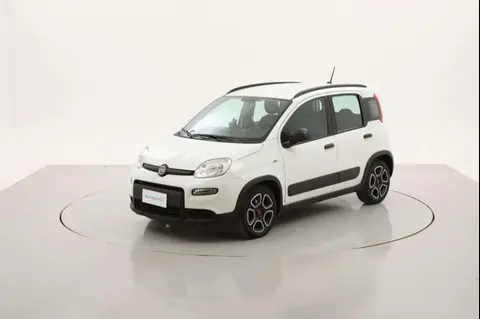 Annonce FIAT PANDA Hybride 2022 d'occasion 