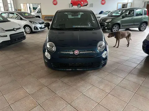 Used FIAT 500 Hybrid 2023 Ad 