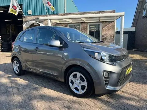 Used KIA PICANTO Petrol 2021 Ad 