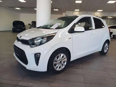 Used KIA PICANTO Petrol 2019 Ad 