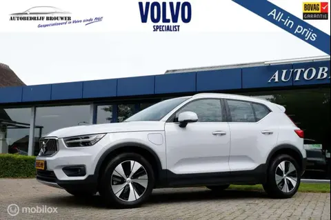 Used VOLVO XC40 Hybrid 2020 Ad 