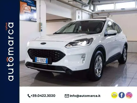 Used FORD KUGA Hybrid 2021 Ad 