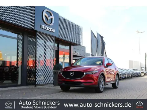 Annonce MAZDA CX-5 Diesel 2019 d'occasion 