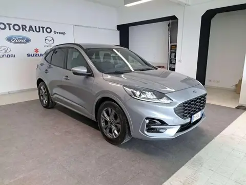 Used FORD KUGA Diesel 2022 Ad 