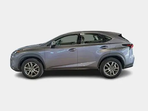 Used LEXUS NX Hybrid 2020 Ad 