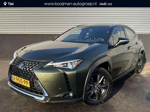 Used LEXUS UX Hybrid 2020 Ad 