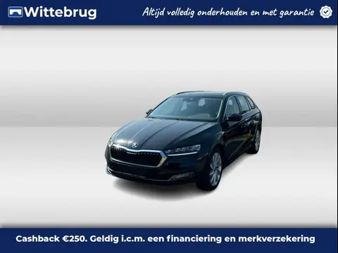 Used SKODA OCTAVIA Hybrid 2021 Ad 