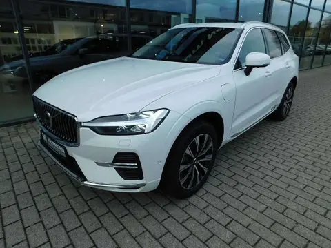 Used VOLVO XC60 Hybrid 2022 Ad 