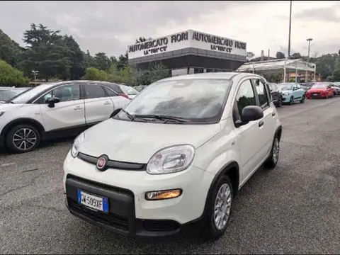 Annonce FIAT PANDA  2024 d'occasion 