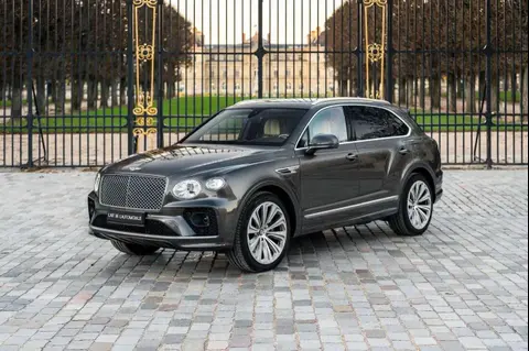 Used BENTLEY BENTAYGA  2023 Ad 