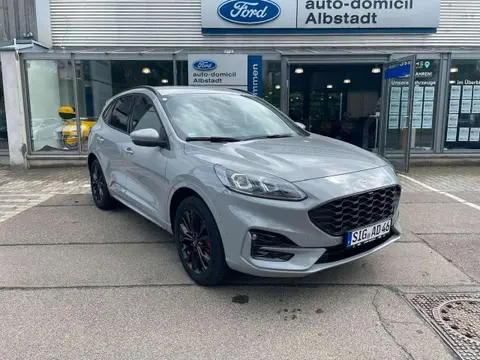 Annonce FORD KUGA Hybride 2024 d'occasion 