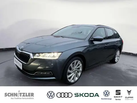 Used SKODA OCTAVIA Diesel 2021 Ad 