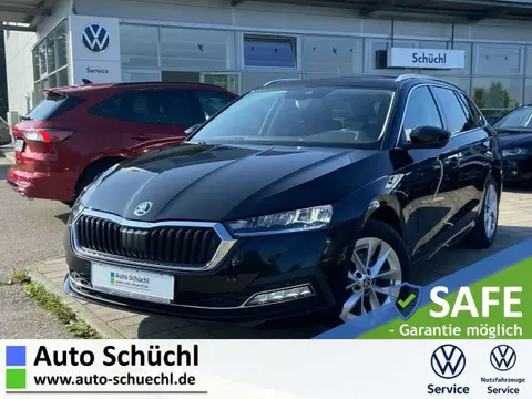 Used SKODA OCTAVIA Diesel 2020 Ad 