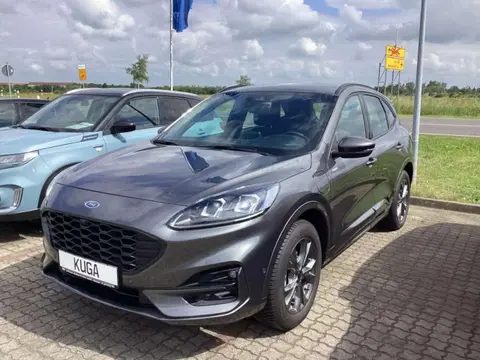 Annonce FORD KUGA Hybride 2022 d'occasion 