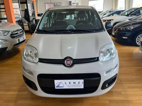 Annonce FIAT PANDA Essence 2016 d'occasion 