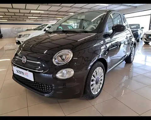 Used FIAT 500 Hybrid 2021 Ad 