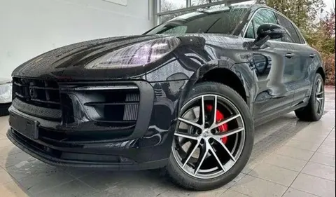 Used PORSCHE MACAN Petrol 2024 Ad 