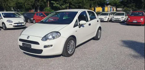 Annonce FIAT PUNTO Diesel 2018 d'occasion 