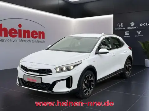 Annonce KIA XCEED Essence 2024 d'occasion 