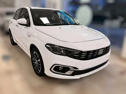 Annonce FIAT TIPO Diesel 2024 d'occasion 