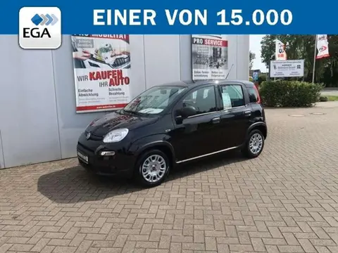 Annonce FIAT PANDA Essence 2023 d'occasion 