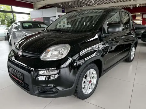 Annonce FIAT PANDA Essence 2024 d'occasion 