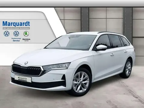 Annonce SKODA OCTAVIA Diesel 2024 d'occasion 