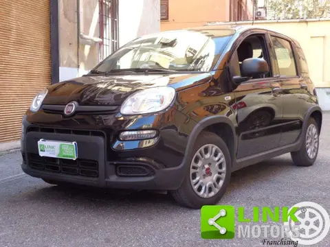 Used FIAT PANDA LPG 2023 Ad 