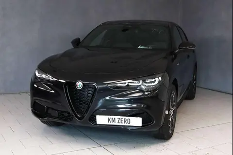 Annonce ALFA ROMEO STELVIO Diesel 2024 d'occasion 