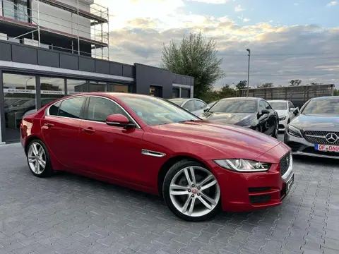 Annonce JAGUAR XE Diesel 2015 d'occasion 