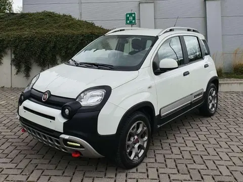 Annonce FIAT PANDA Essence 2019 d'occasion 