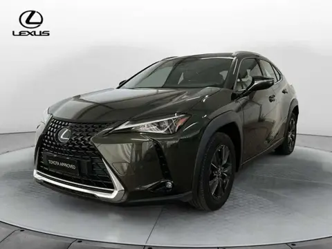 Used LEXUS UX Hybrid 2020 Ad 