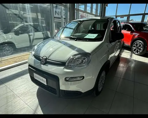 Used FIAT PANDA Hybrid 2024 Ad 