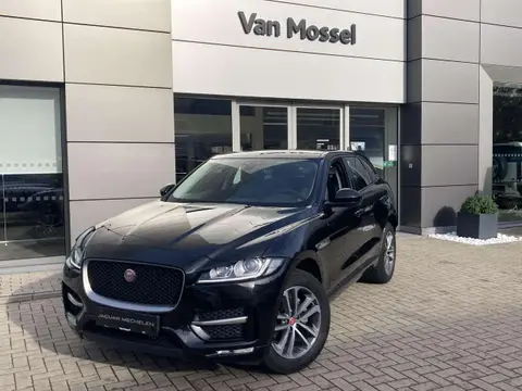 Used JAGUAR F-PACE Diesel 2017 Ad 