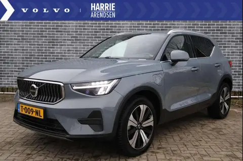 Used VOLVO XC40 Hybrid 2023 Ad 