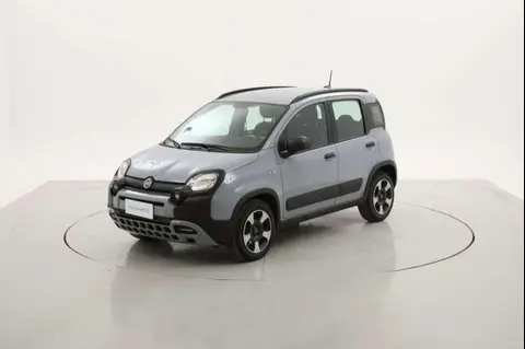 Annonce FIAT PANDA Hybride 2021 d'occasion 