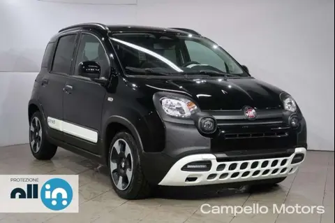 Used FIAT PANDA Hybrid 2024 Ad 