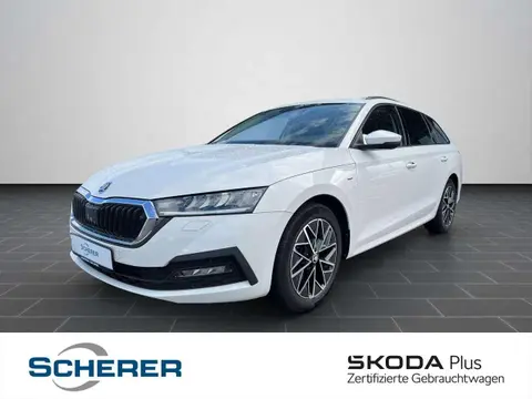 Annonce SKODA OCTAVIA Essence 2021 d'occasion 