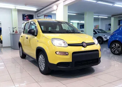 Used FIAT PANDA Hybrid 2024 Ad Italy