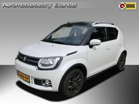 Used SUZUKI IGNIS Hybrid 2020 Ad 