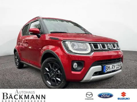 Used SUZUKI IGNIS Petrol 2023 Ad 