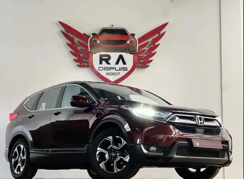 Used HONDA CR-V Petrol 2019 Ad 