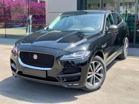 Used JAGUAR F-PACE Diesel 2019 Ad 