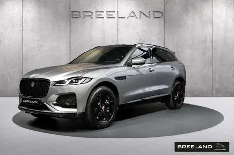 Used JAGUAR F-PACE Hybrid 2023 Ad 