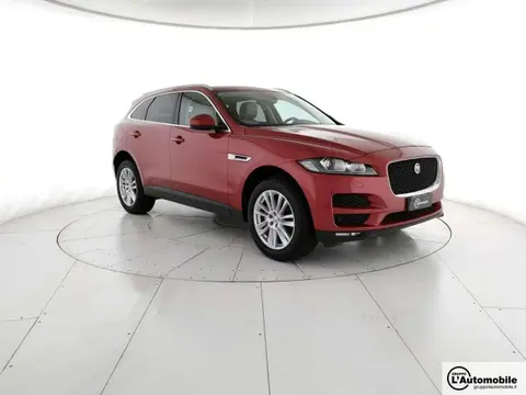 Used JAGUAR F-PACE Diesel 2019 Ad 