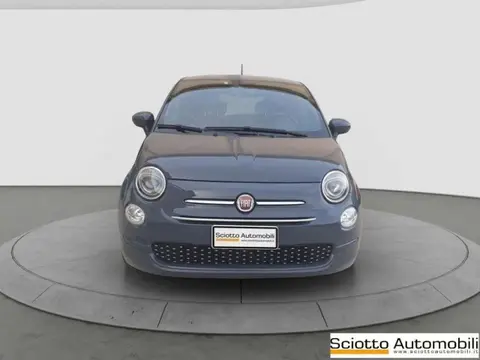 Used FIAT 500 Hybrid 2021 Ad 