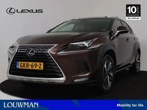 Used LEXUS NX Hybrid 2018 Ad 