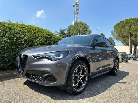 Annonce ALFA ROMEO STELVIO Diesel 2024 d'occasion 